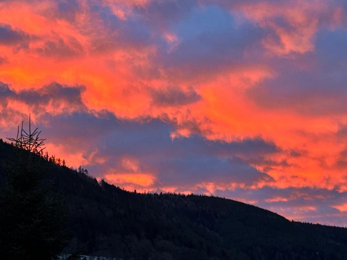 Kuckucksnest - Ferienwohnung Mit Traumblick Im Schwarzwald Bad Wildbad Luaran gambar